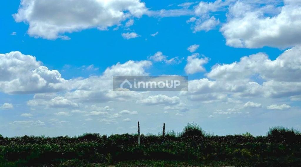 Finca en Venta en Guaymallen, Mendoza