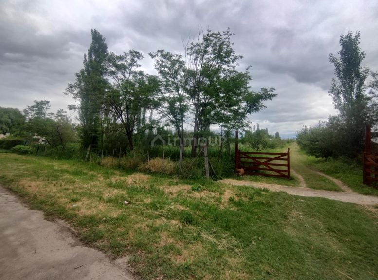 Lote en Venta en Tunuyan, Mendoza