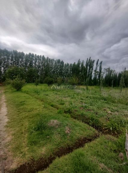 Lote en Venta en Tunuyan, Mendoza