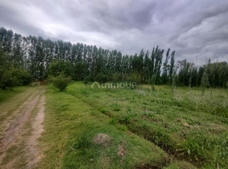 Lote en Venta en Tunuyan, Mendoza