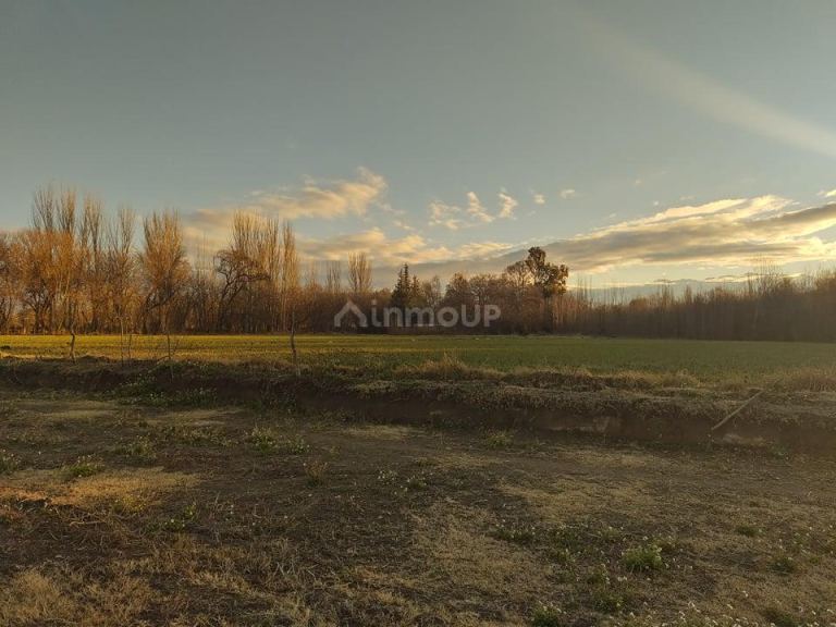 Lote en Venta en Tunuyan, Mendoza