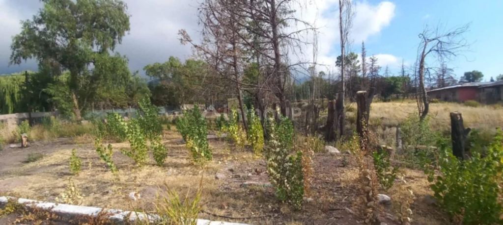 Lote en Venta en Lujan de Cuyo, Mendoza