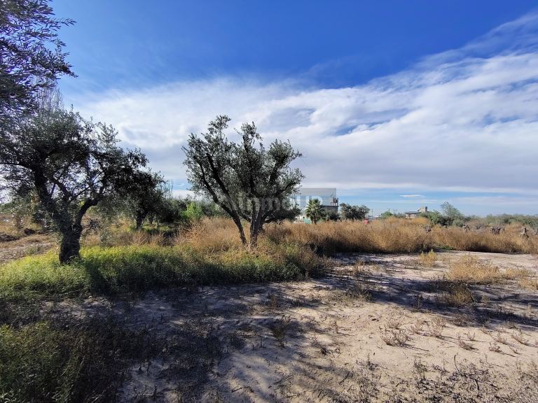 Lote en Venta en Maipu, Mendoza