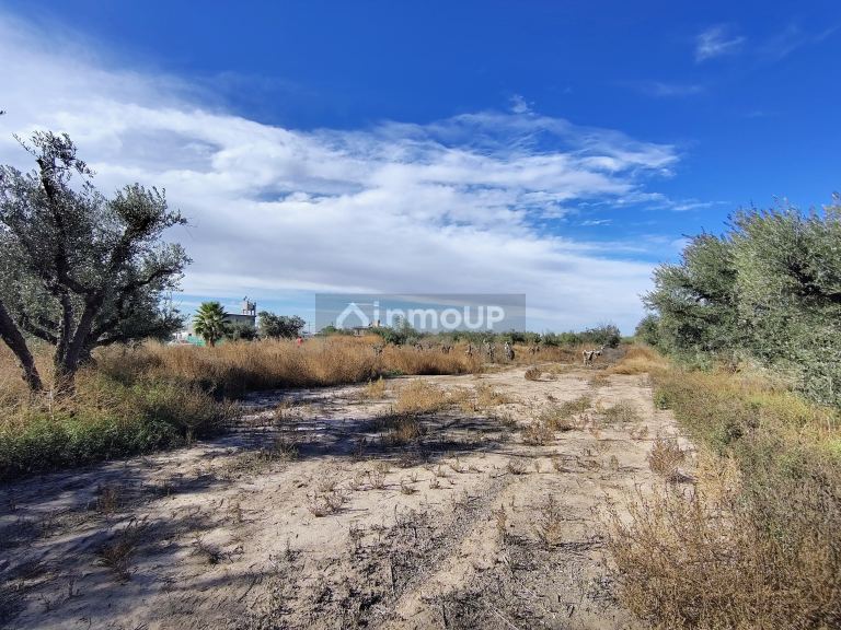 Lote en Venta en Maipu, Mendoza