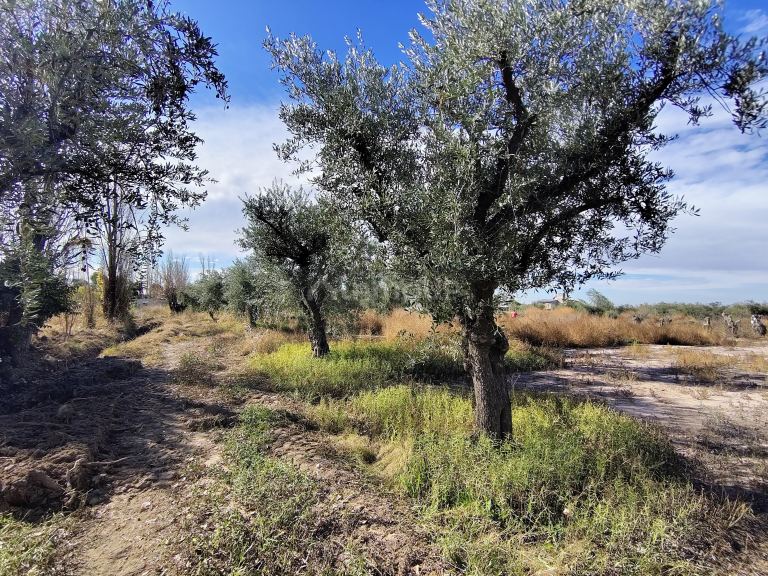 Lote en Venta en Maipu, Mendoza