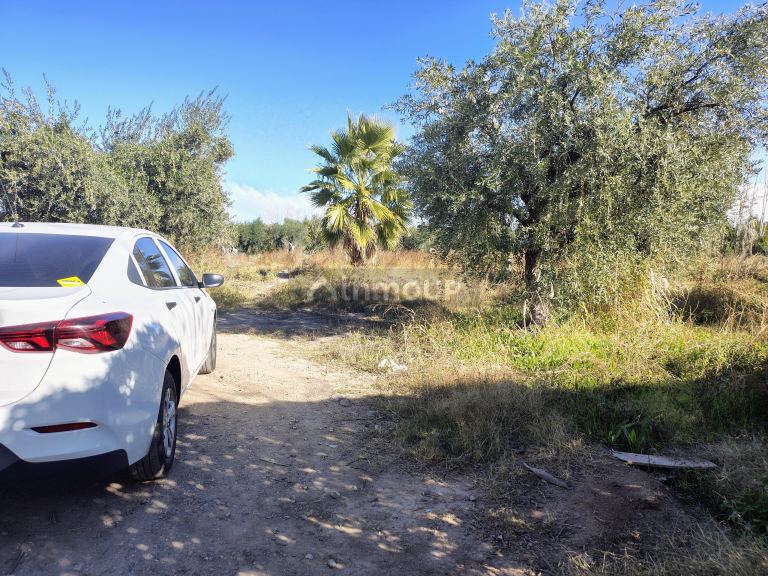 Lote en Venta en Maipu, Mendoza