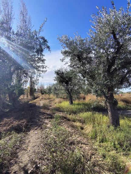 Lote en Venta en Maipu, Mendoza