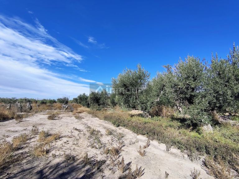 Lote en Venta en Maipu, Mendoza