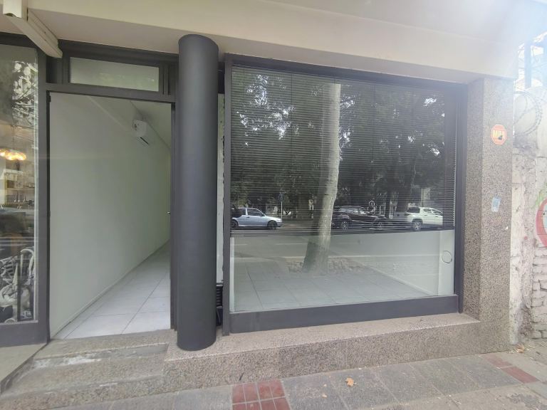 Local Comercial en Alquiler en Capital, Mendoza
