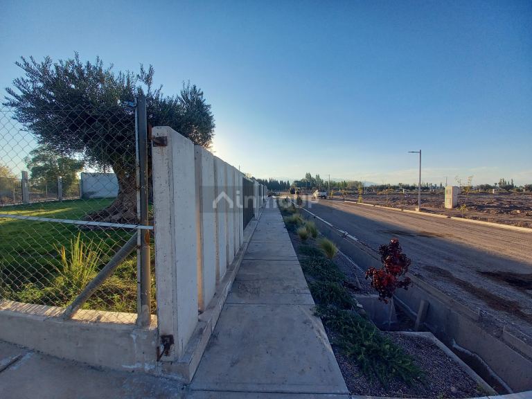 Lote en Venta en Lujan de Cuyo, Mendoza
