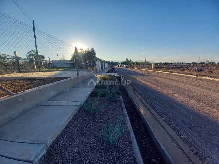Lote en Venta en Lujan de Cuyo, Mendoza