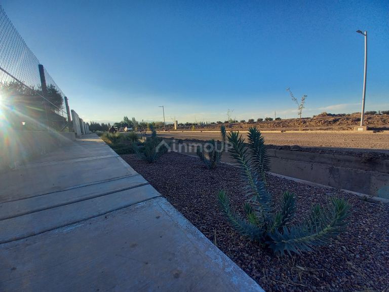 Lote en Venta en Lujan de Cuyo, Mendoza