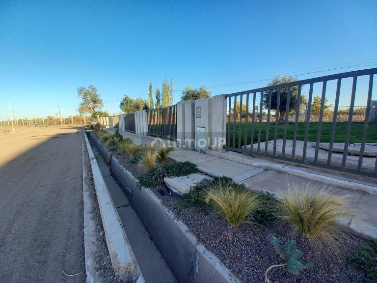 Lote en Venta en Lujan de Cuyo, Mendoza