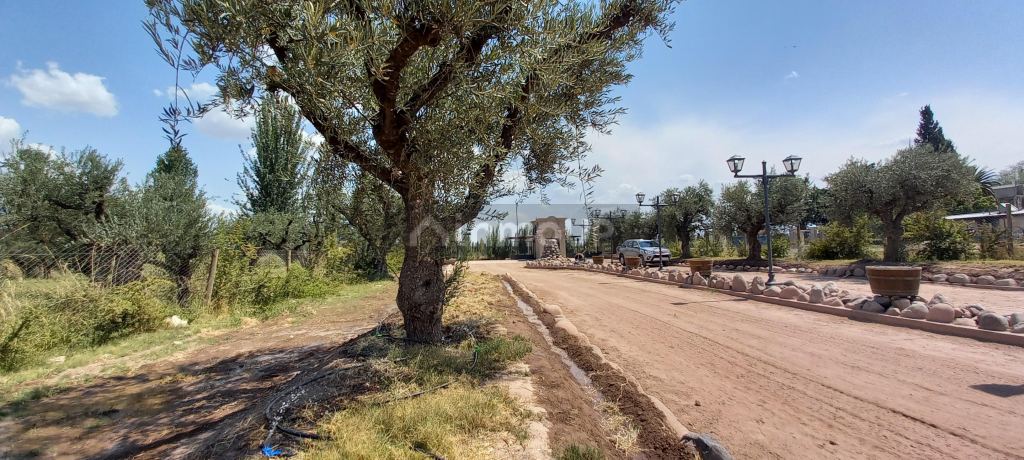 Lote en Venta en Lujan de Cuyo, Mendoza