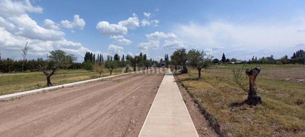 Lote en Venta en Lujan de Cuyo, Mendoza