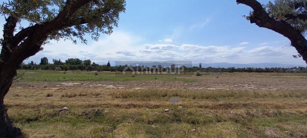 Lote en Venta en Lujan de Cuyo, Mendoza