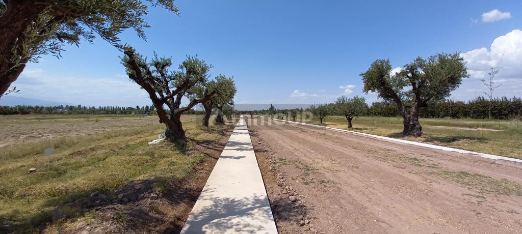 Lote en Venta en Lujan de Cuyo, Mendoza