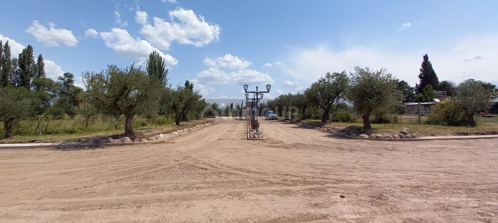 Lote en Venta en Lujan de Cuyo, Mendoza