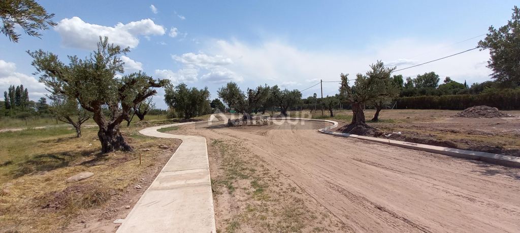 Lote en Venta en Lujan de Cuyo, Mendoza