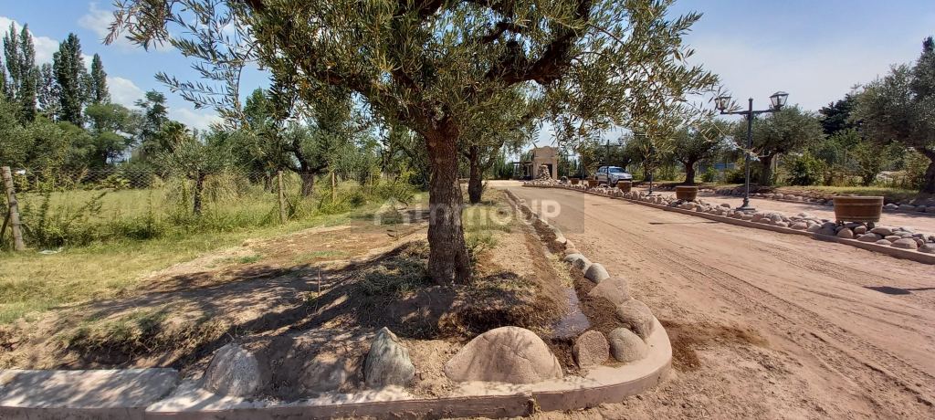 Lote en Venta en Lujan de Cuyo, Mendoza
