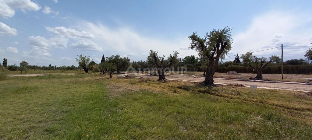 Lote en Venta en Lujan de Cuyo, Mendoza