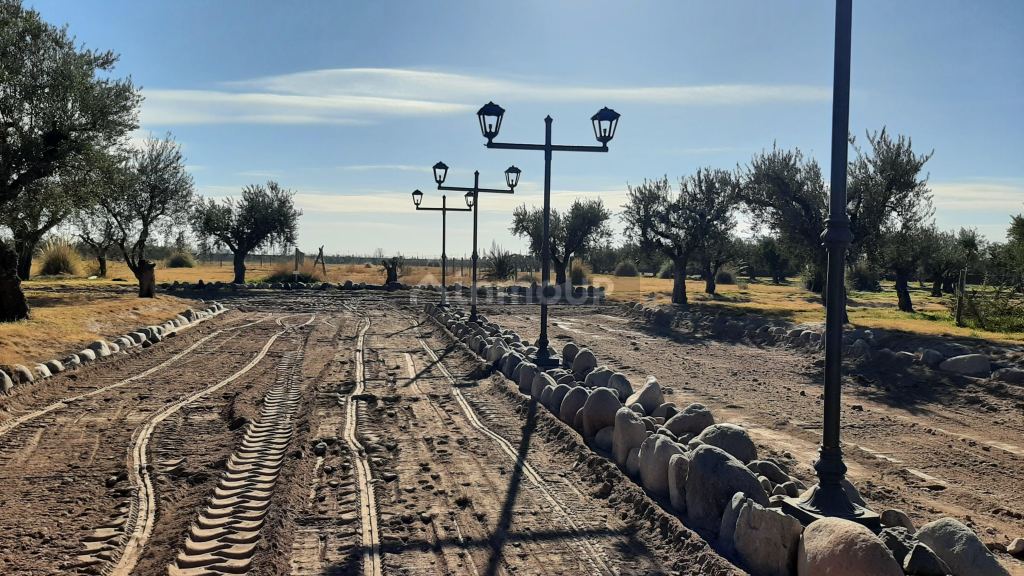 Lote en Venta en Lujan de Cuyo, Mendoza