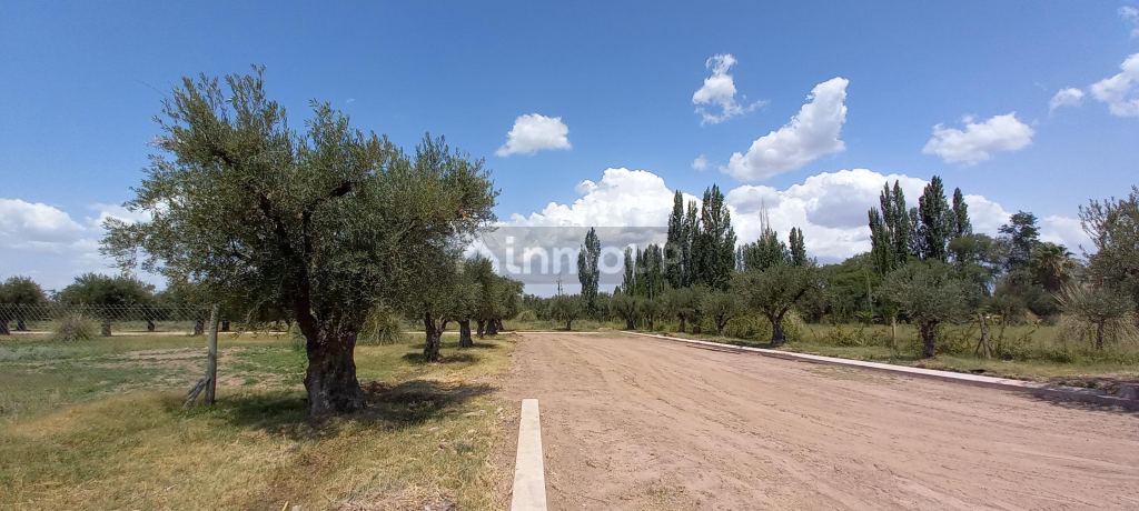 Lote en Venta en Lujan de Cuyo, Mendoza