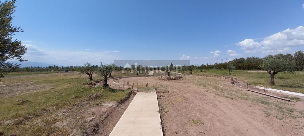 Lote en Venta en Lujan de Cuyo, Mendoza