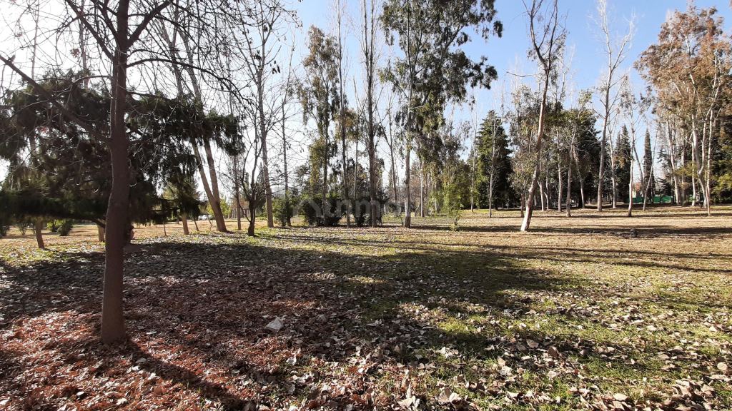 Lote en Venta en Maipu, Mendoza