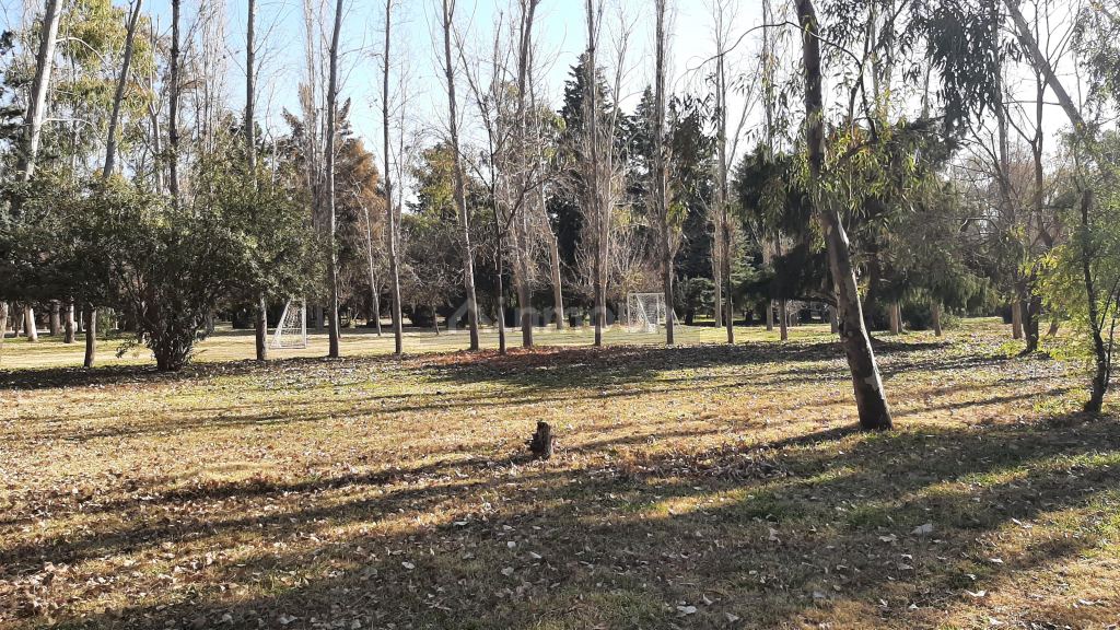 Lote en Venta en Maipu, Mendoza