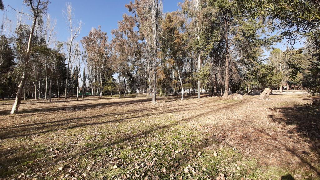 Lote en Venta en Maipu, Mendoza