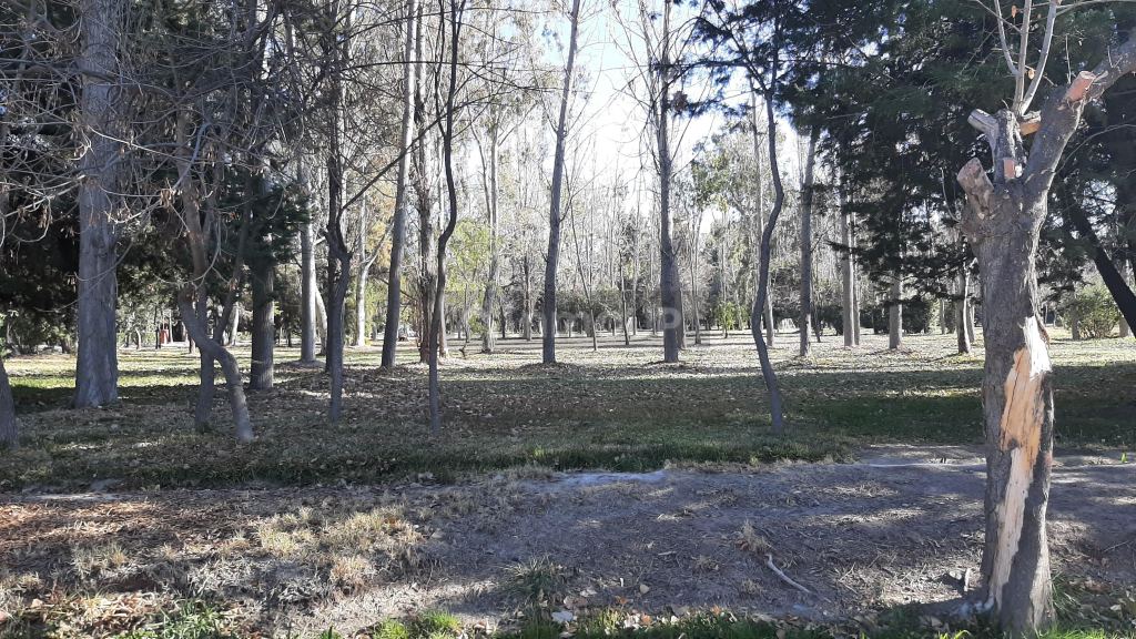 Lote en Venta en Maipu, Mendoza