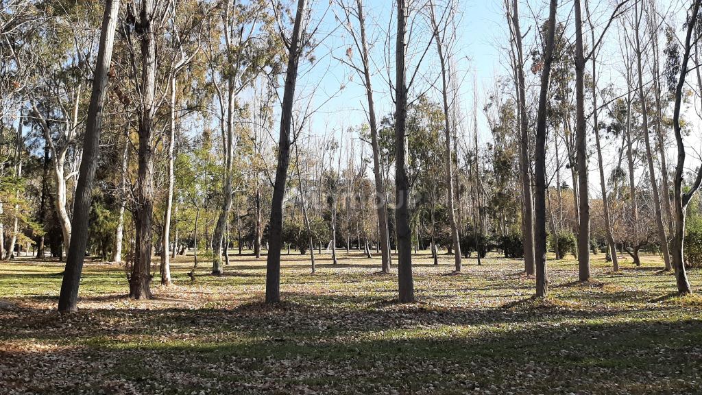 Lote en Venta en Maipu, Mendoza