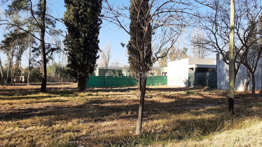 Lote en Venta en Maipu, Mendoza