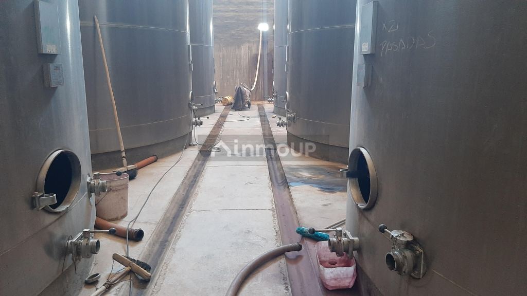 Bodega en Venta en San Martin, Mendoza
