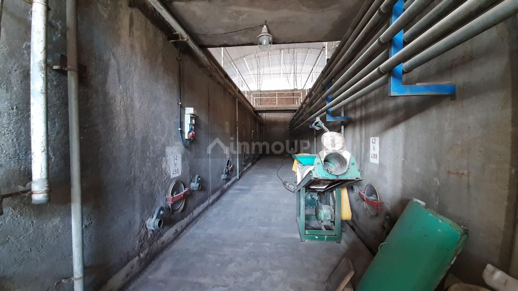 Bodega en Venta en San Martin, Mendoza