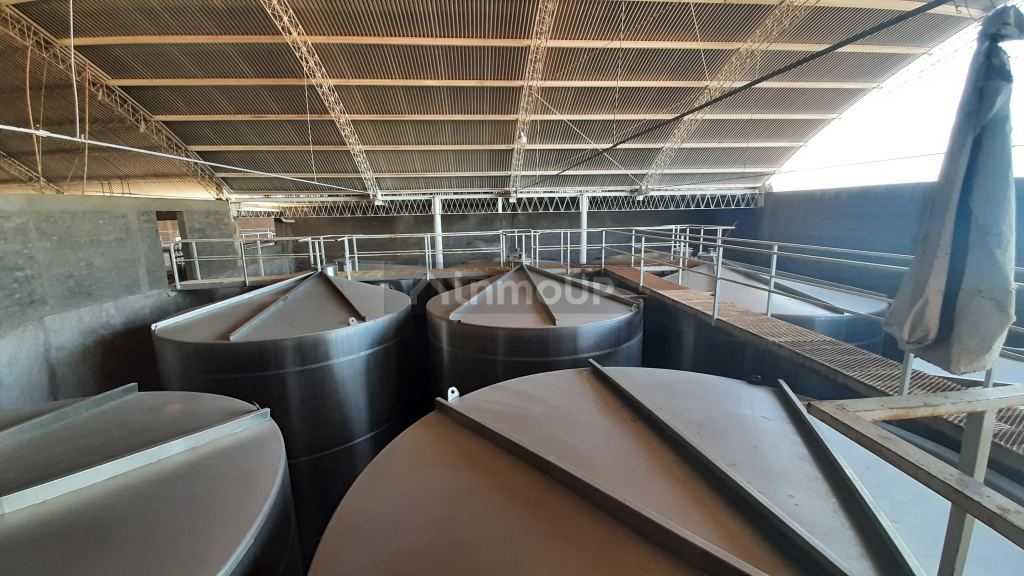Bodega en Venta en San Martin, Mendoza