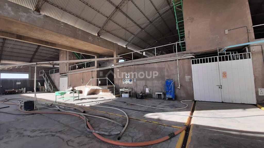 Bodega en Venta en San Martin, Mendoza