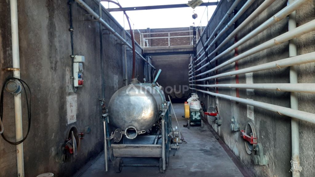 Bodega en Venta en San Martin, Mendoza