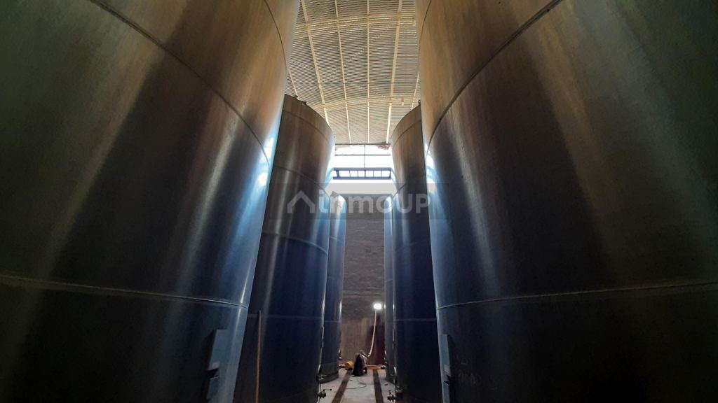 Bodega en Venta en San Martin, Mendoza
