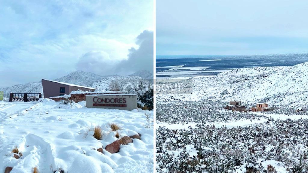 Lote en Venta en Lujan de Cuyo, Mendoza
