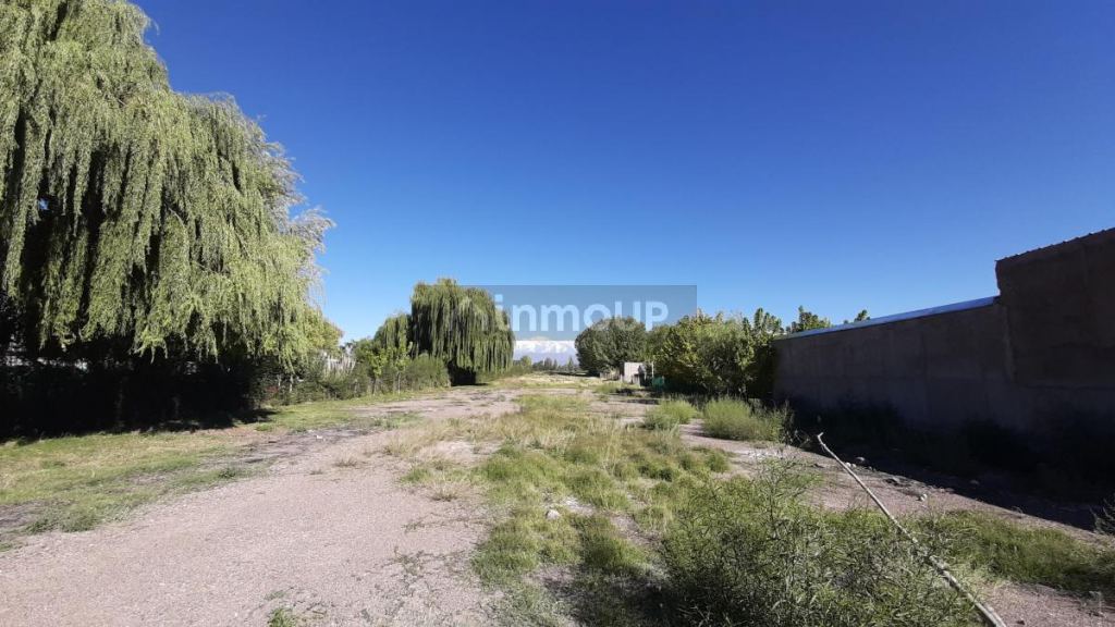 Lote en Venta en Lujan de Cuyo, Mendoza