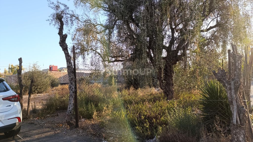 Lote en Venta en Godoy Cruz, Mendoza