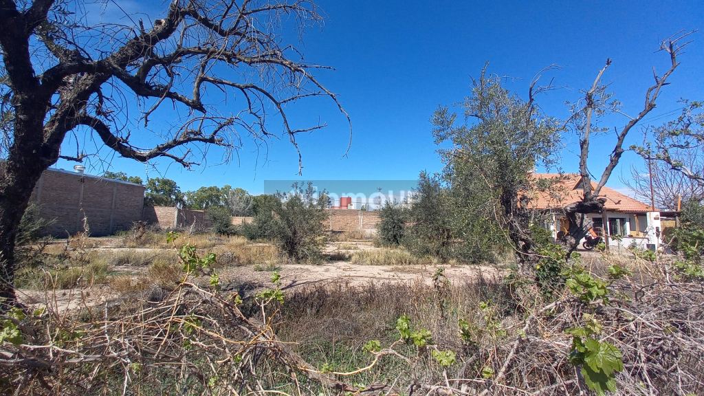 Lote en Venta en Godoy Cruz, Mendoza