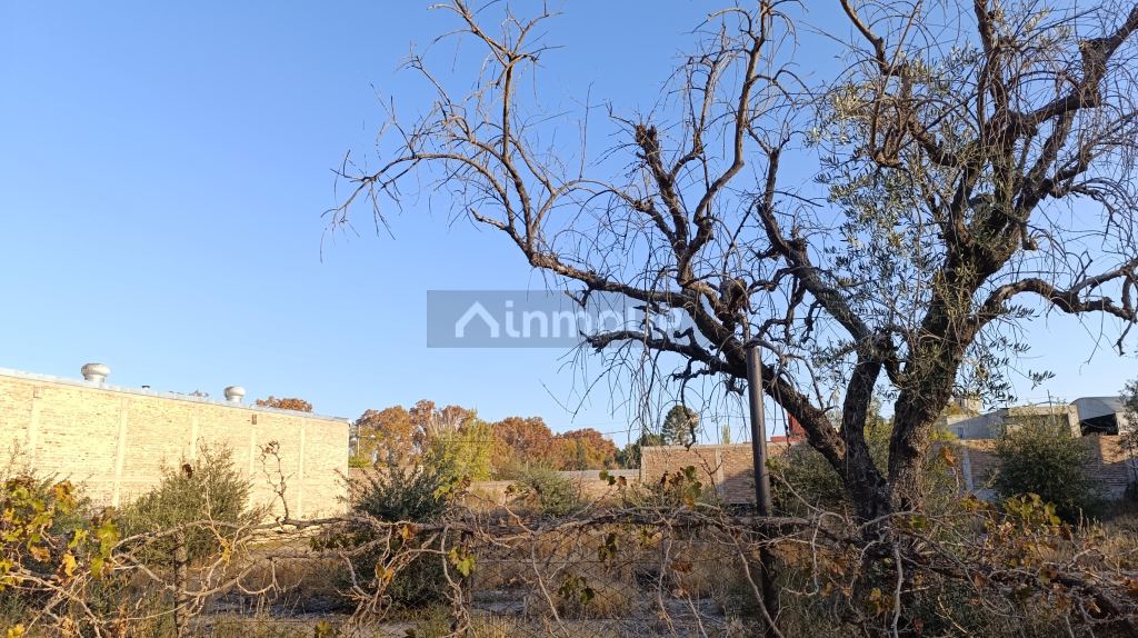 Lote en Venta en Godoy Cruz, Mendoza