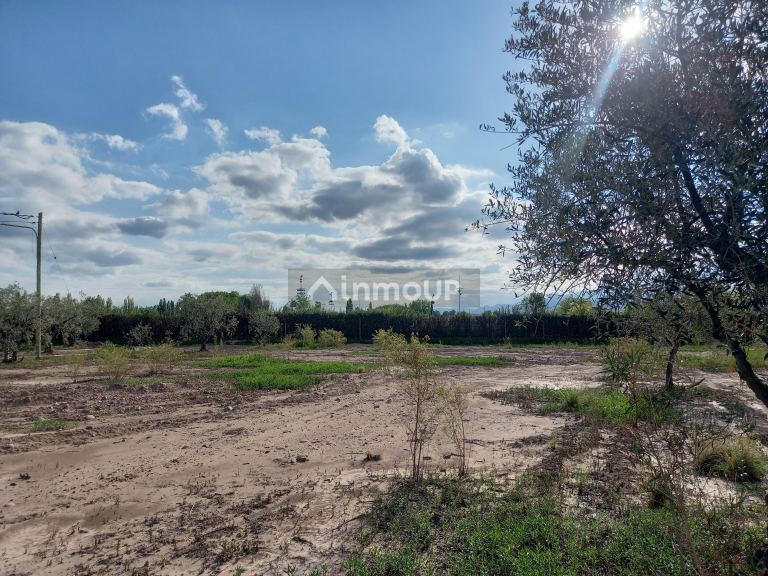 Lote en Venta en Lujan de Cuyo, Mendoza