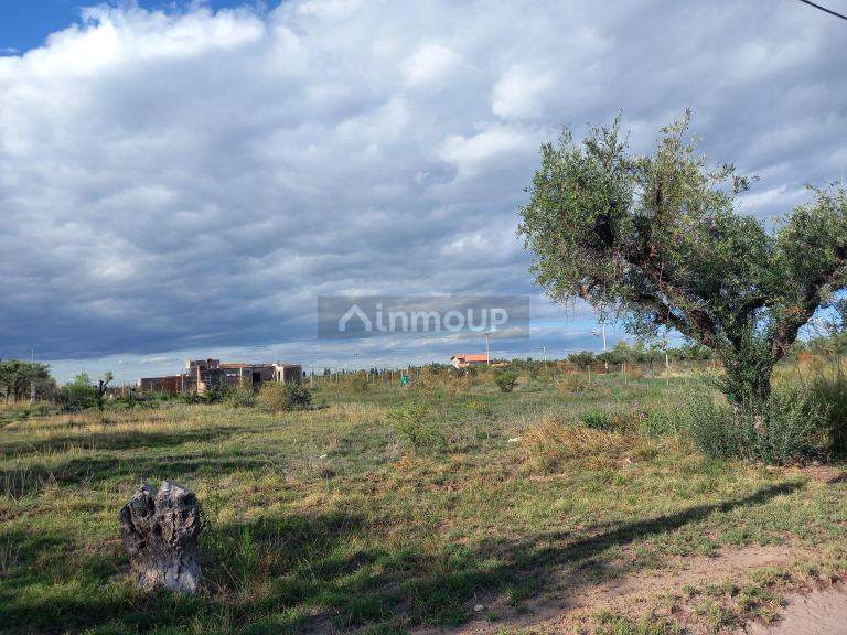 Lote en Venta en Lujan de Cuyo, Mendoza