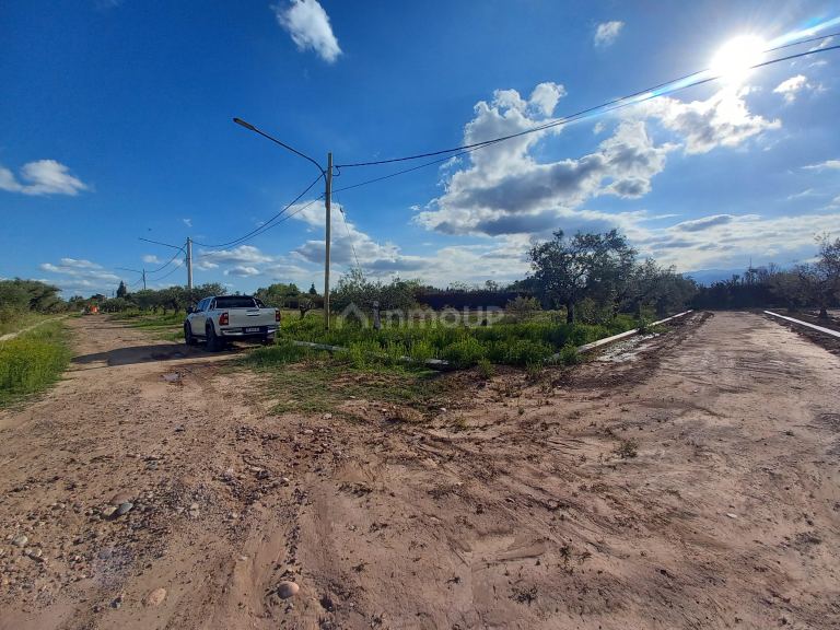 Lote en Venta en Lujan de Cuyo, Mendoza