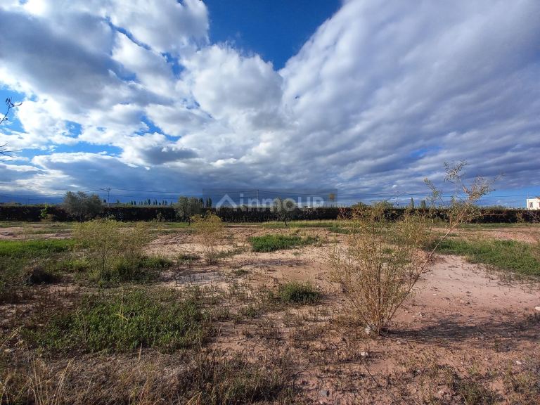 Lote en Venta en Lujan de Cuyo, Mendoza
