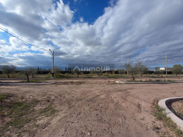 Lote en Venta en Lujan de Cuyo, Mendoza